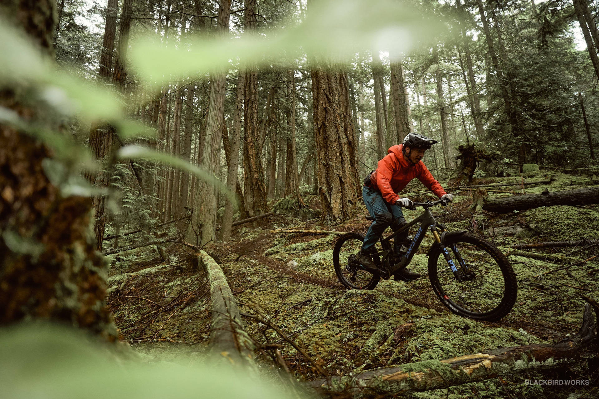 4k Mountain Bike Wallpaper
