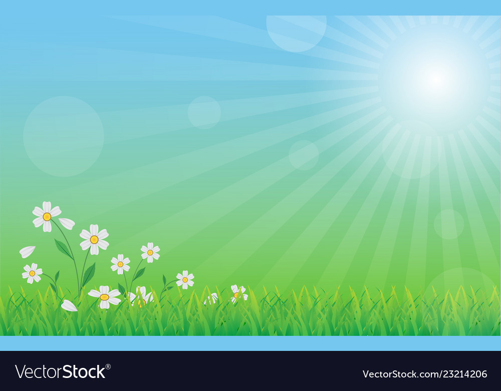 Green nature background with green grass flower Vector Image 1000x780