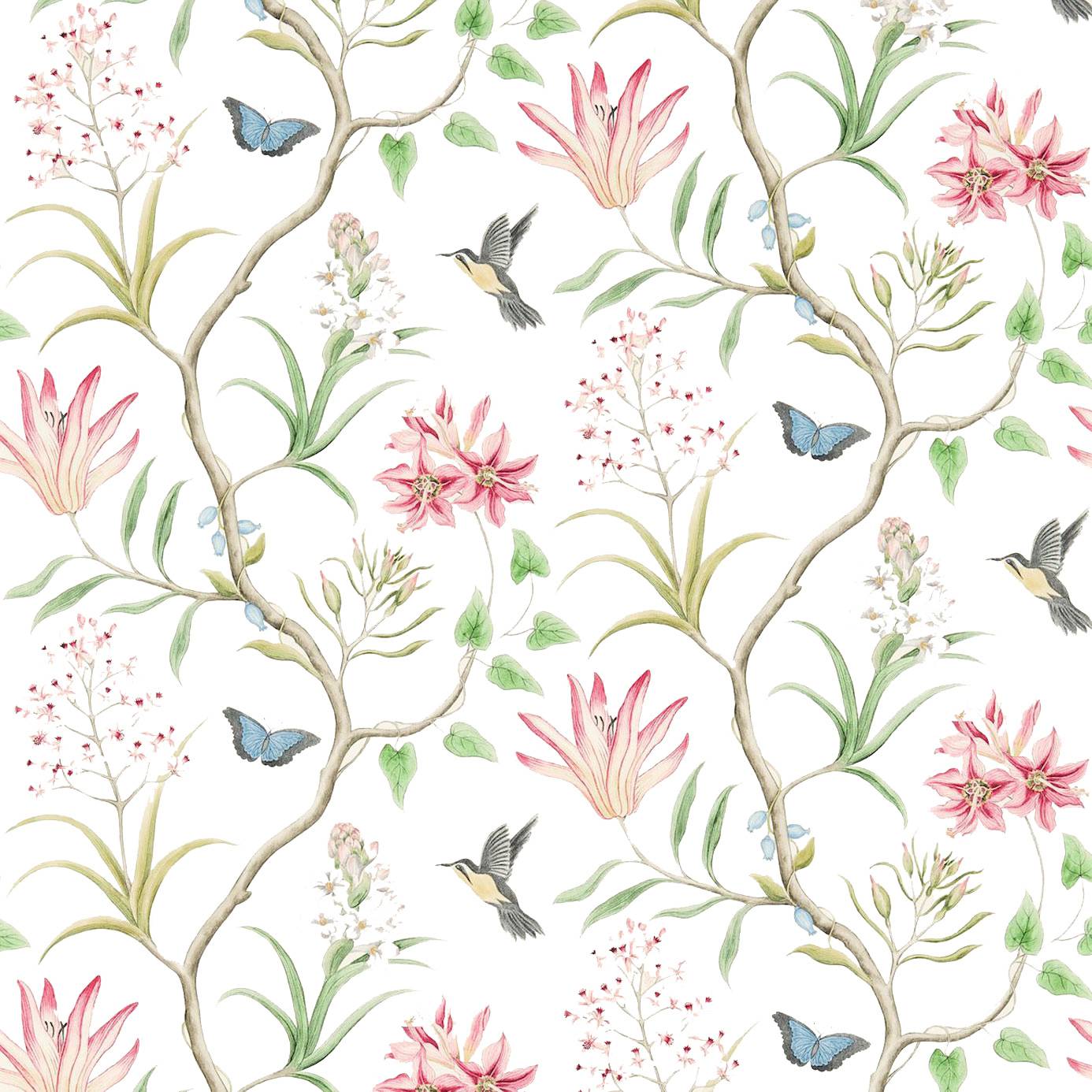 Sanderson Voyage of Discovery Wallpapers Clementine Wallpaper   Chintz