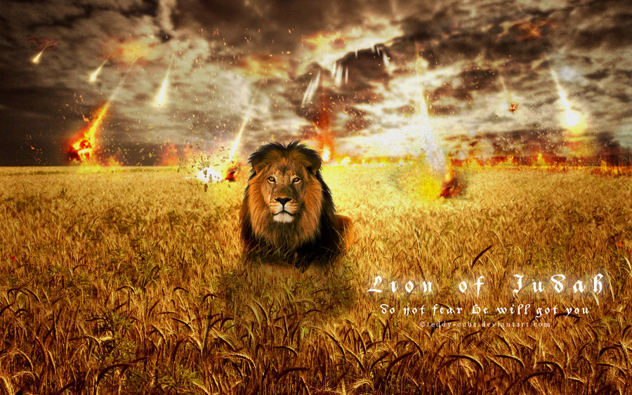 Lion Of Judah By Teddy Cube