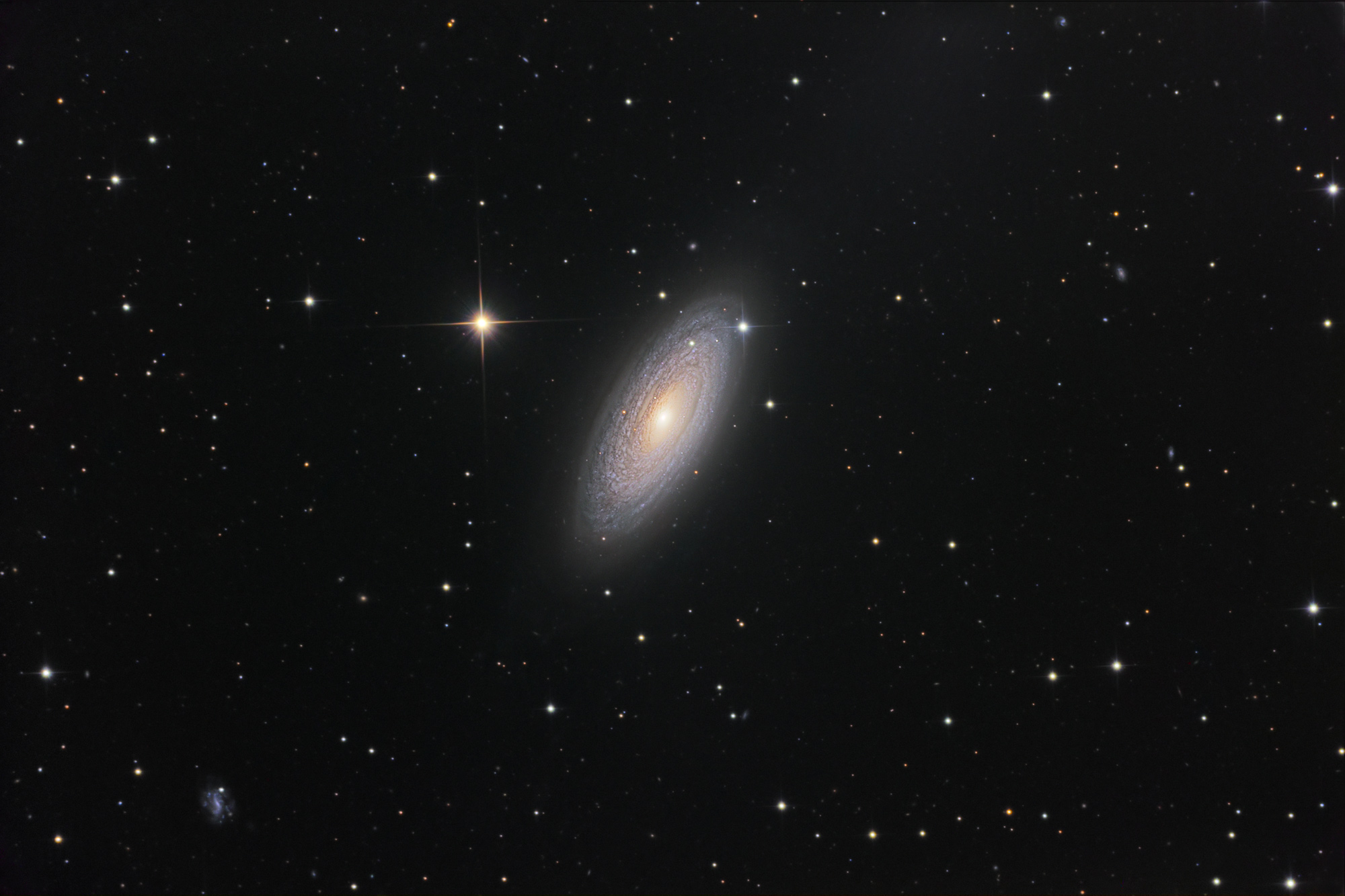 NGC2841cass50 schedler
