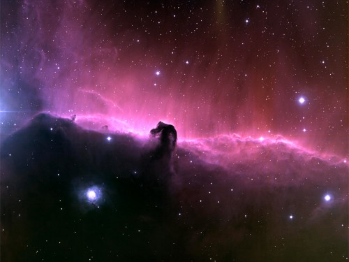 Nasa The Horsehead Nebula Screensaver Screensavers