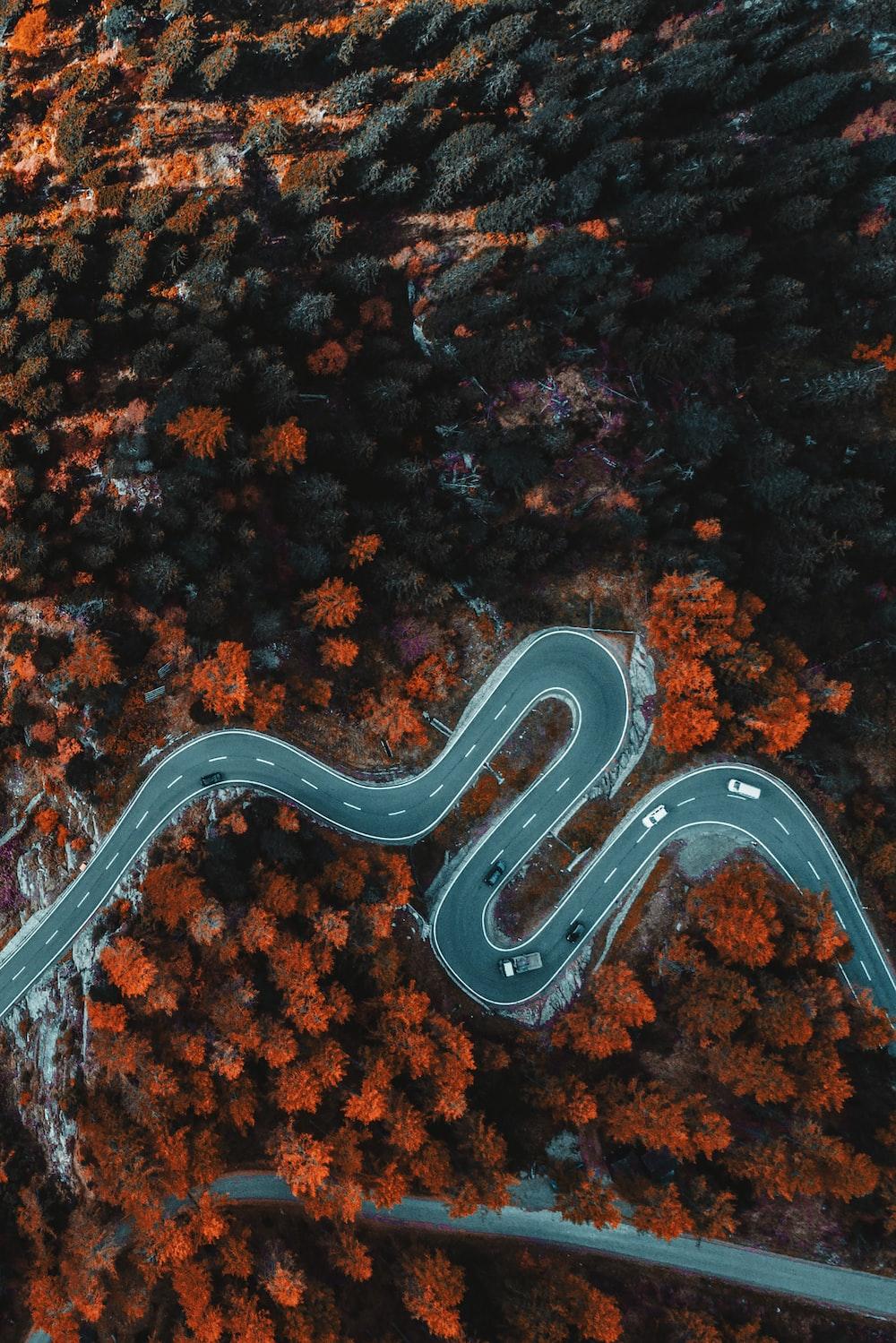 Aerial Photography Of Asphalt Road Surrounded With Trees Photo