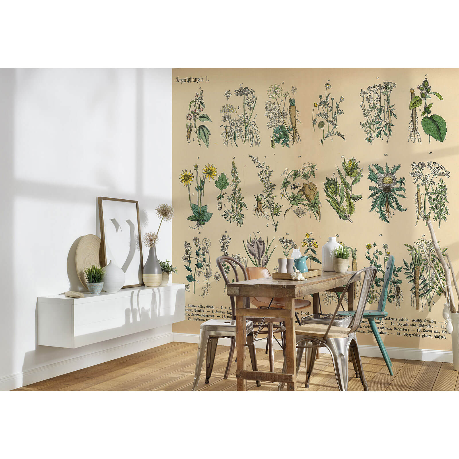 Photo Wallpaper Medicinal Plants beige DD109065