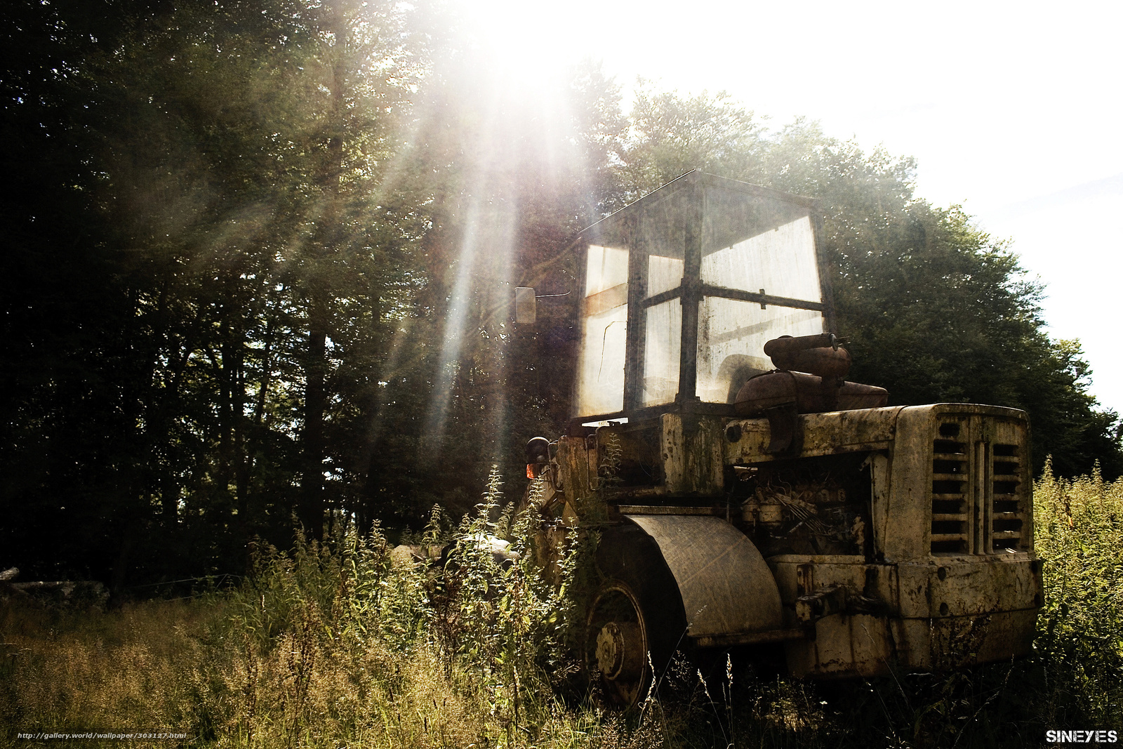 Wallpaper Old Tractor In The Forest Cars Desktop