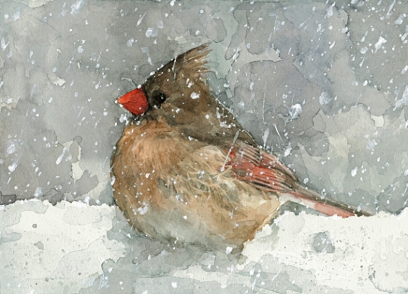 Cardinal Bird Snow on Cardinal Snow Print