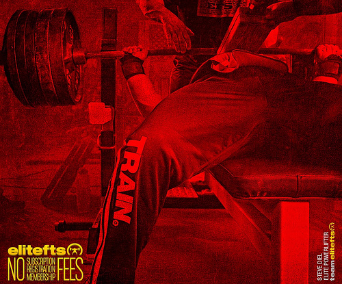 Elitefts Blood Red Bench Wall Photo Sharing