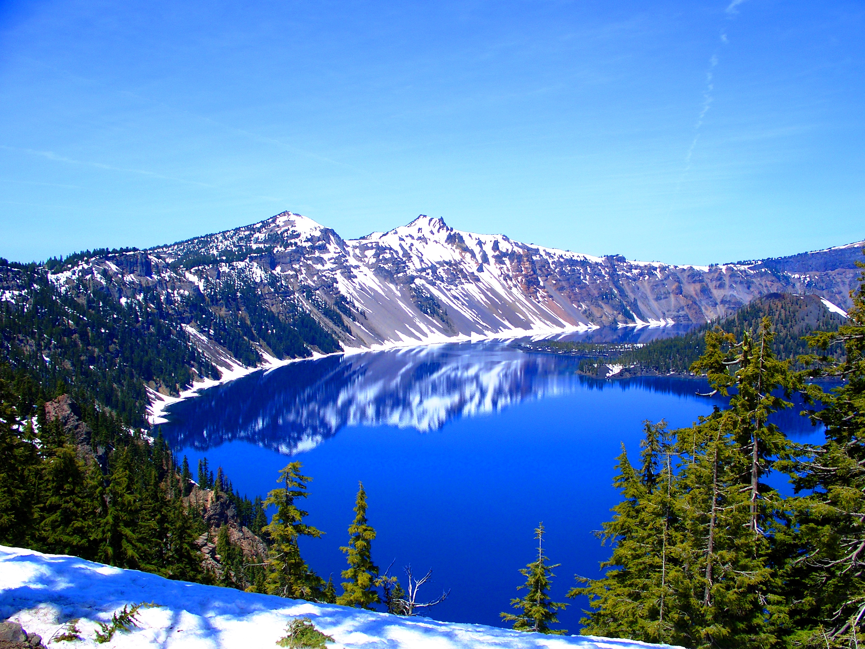 oregon scenery tree and water background