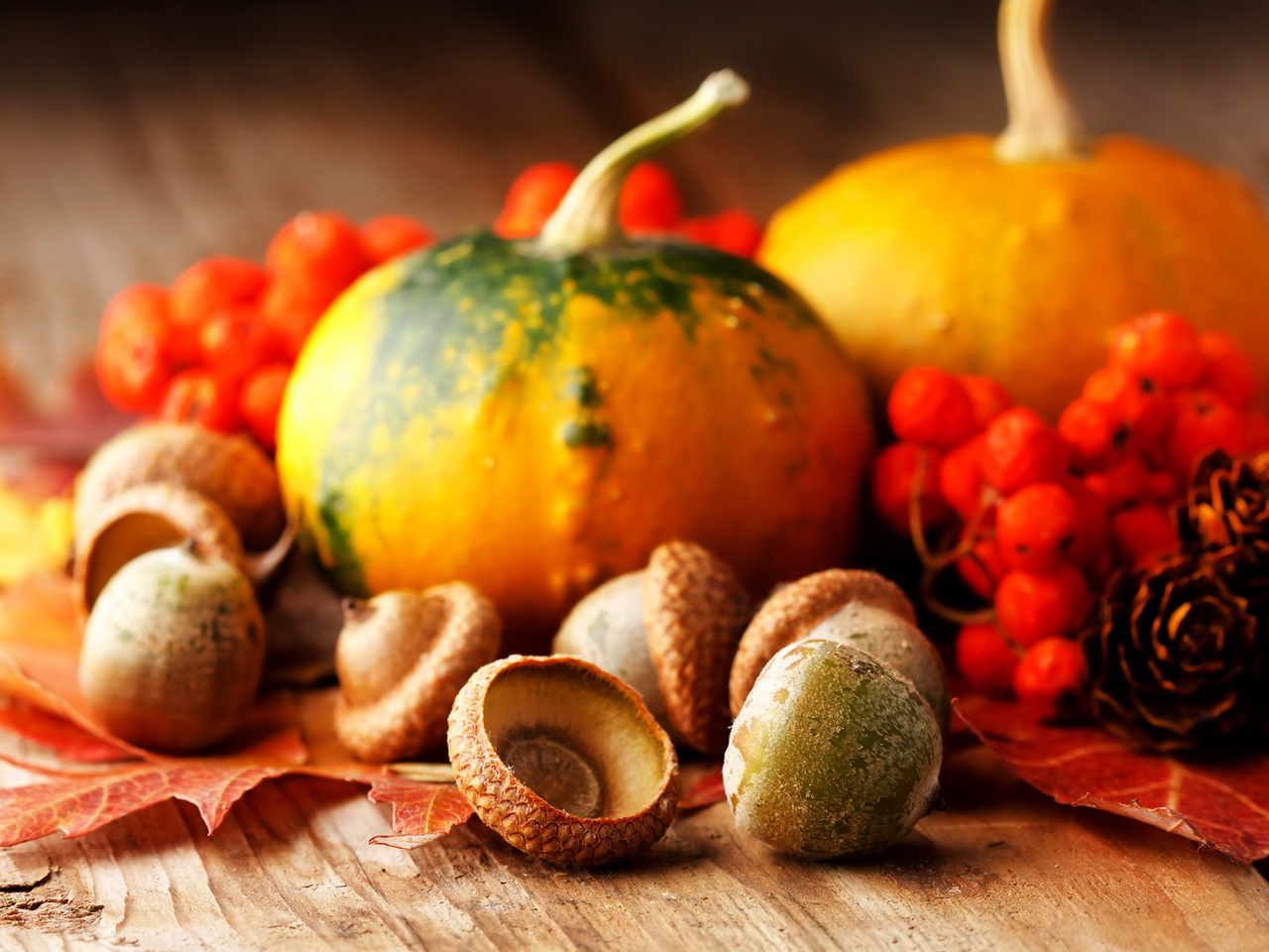 Thanksgiving Holiday Wallpaper For Android Live