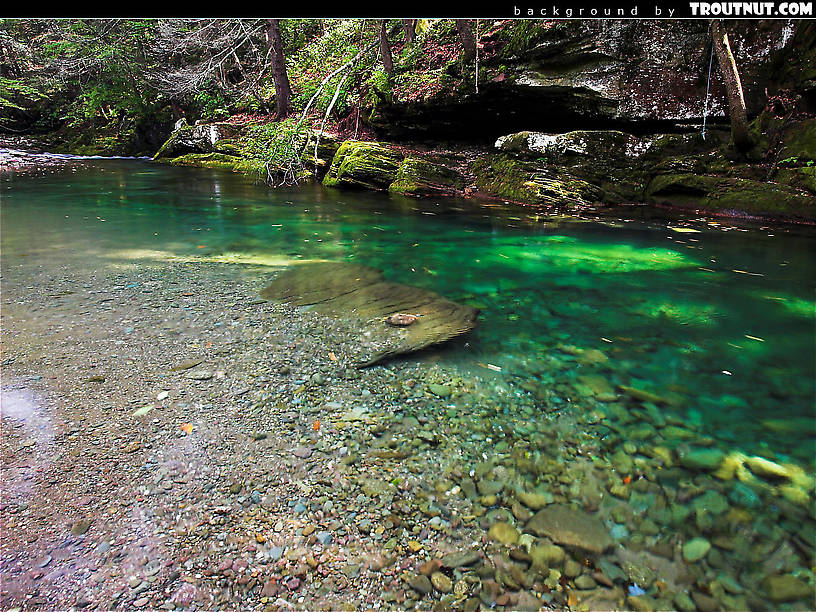 Cool Fishing Background Scenic Desktop Background