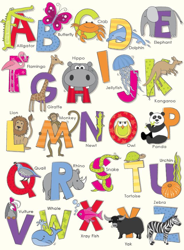 Animals ABC by Arthouse Wallpaper Direct