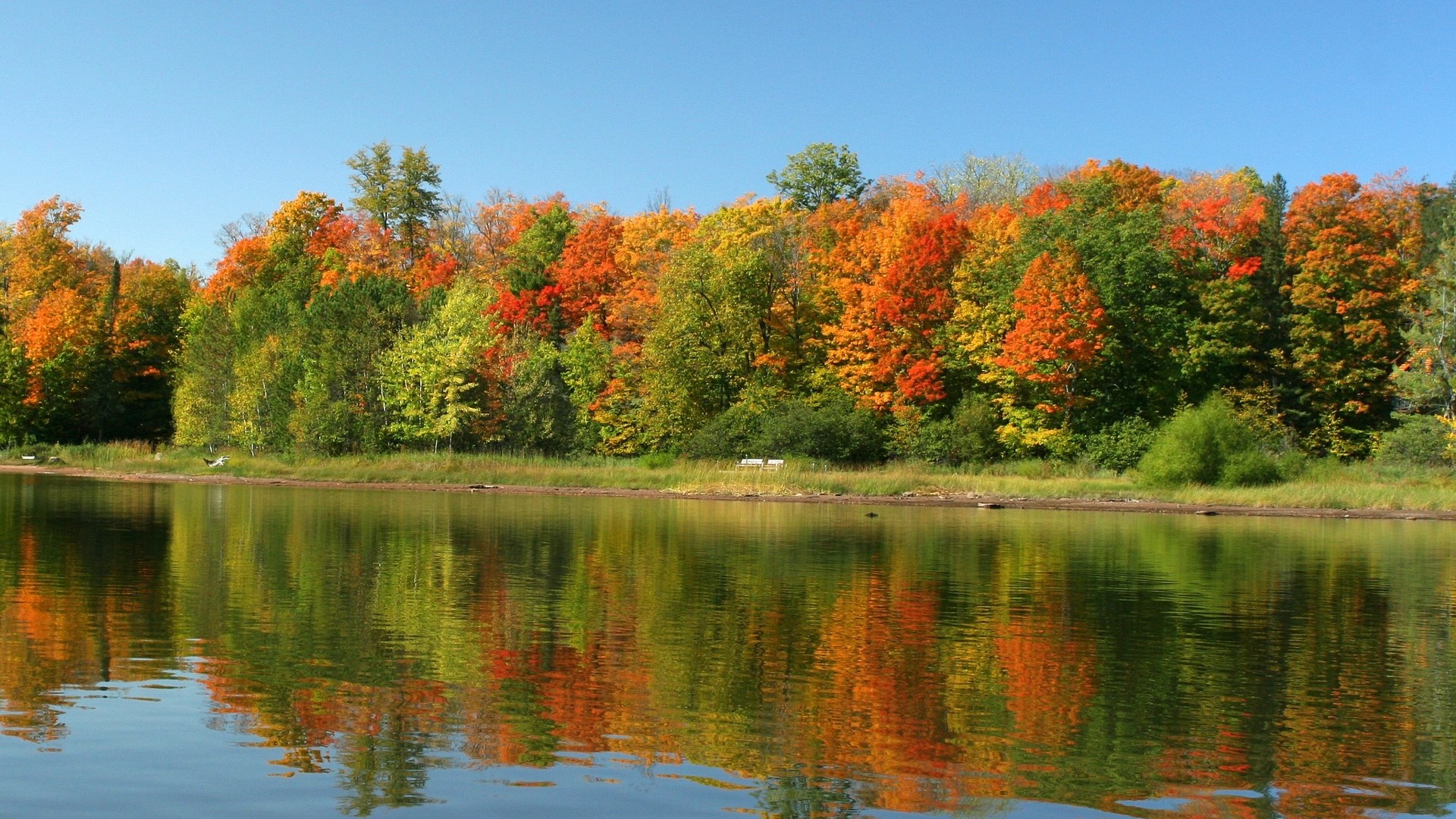 Autumn Wallpaper Scenes Water Photo