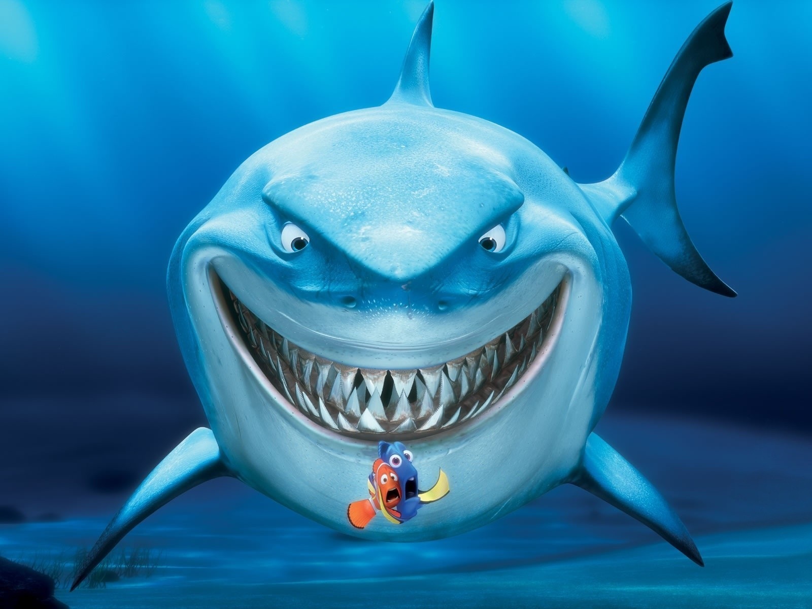 Dory Finding Nemo HD Wallpaper Animation