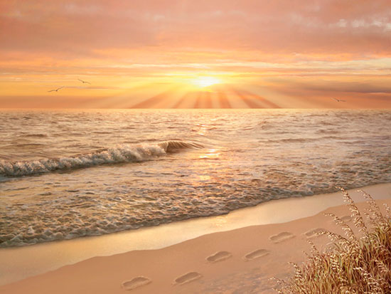 Footprints In The Sand mural