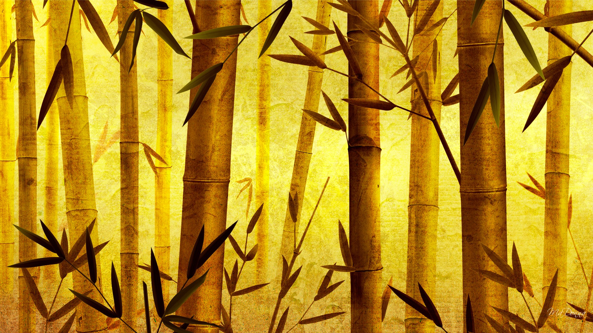 HD Bamboo Background Wallpaper