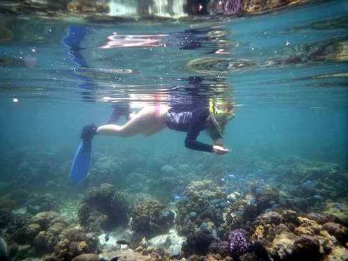 Cebu Picture Gallery Diving Island Hopping City Tour Bohol