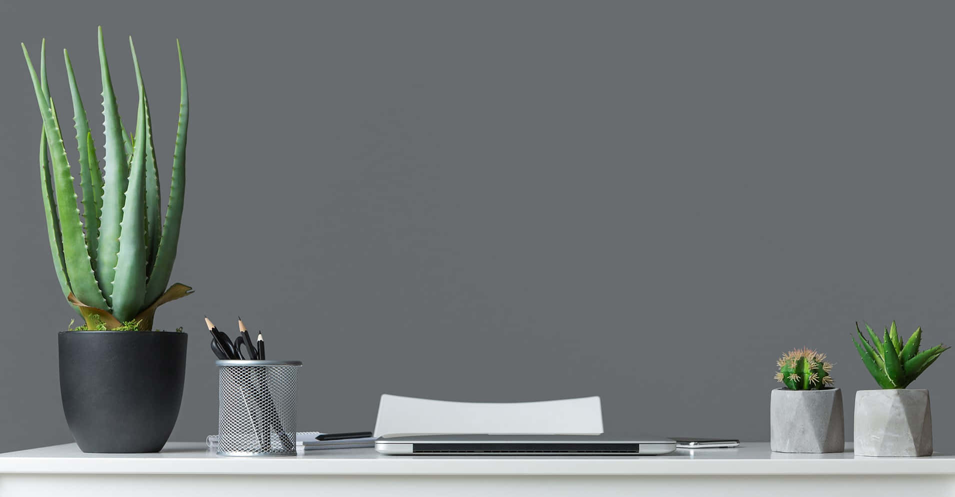 Zoom Office Background Wallpaper