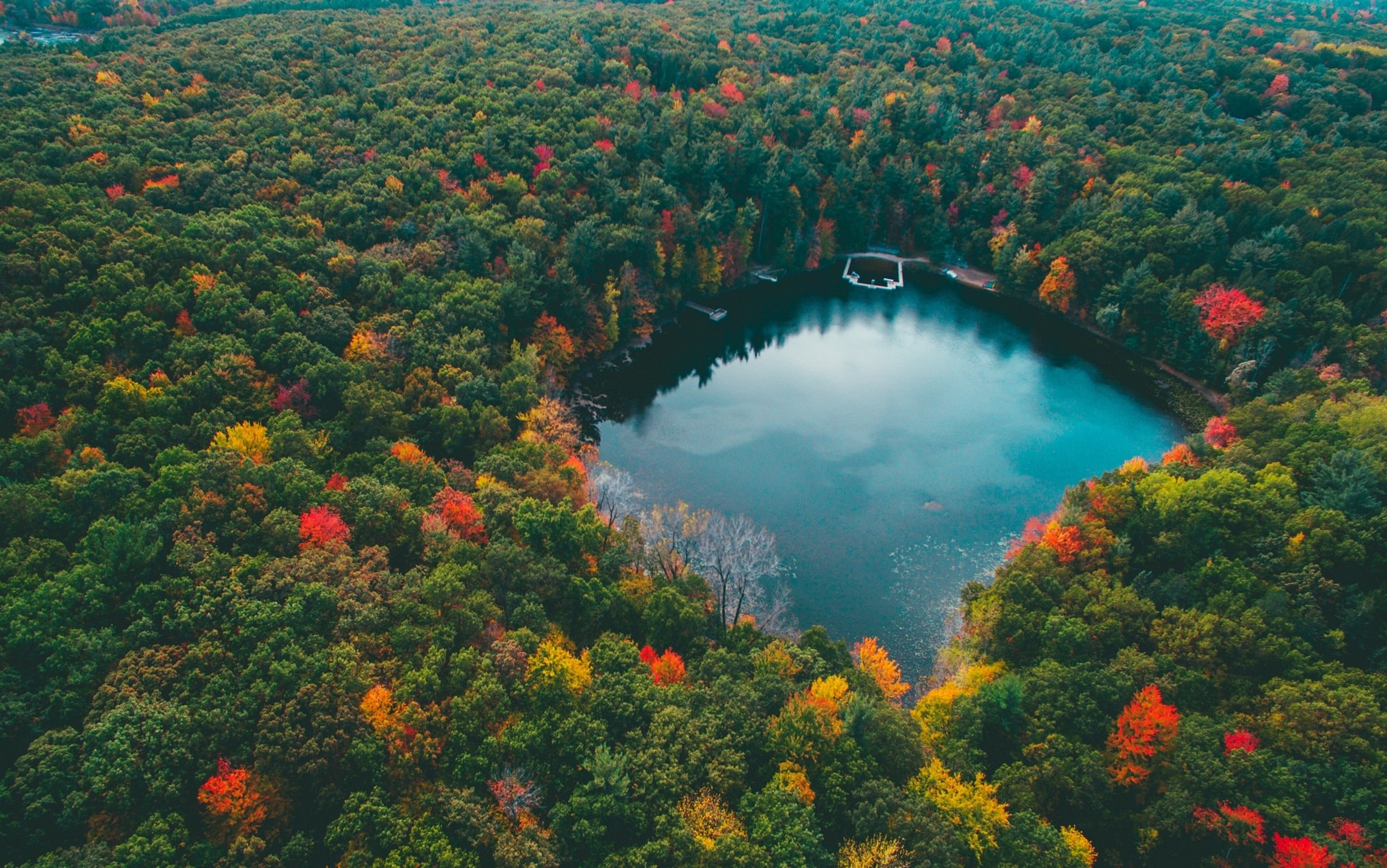 landscape Nature Forest Lake Colorful Fall Trees Water