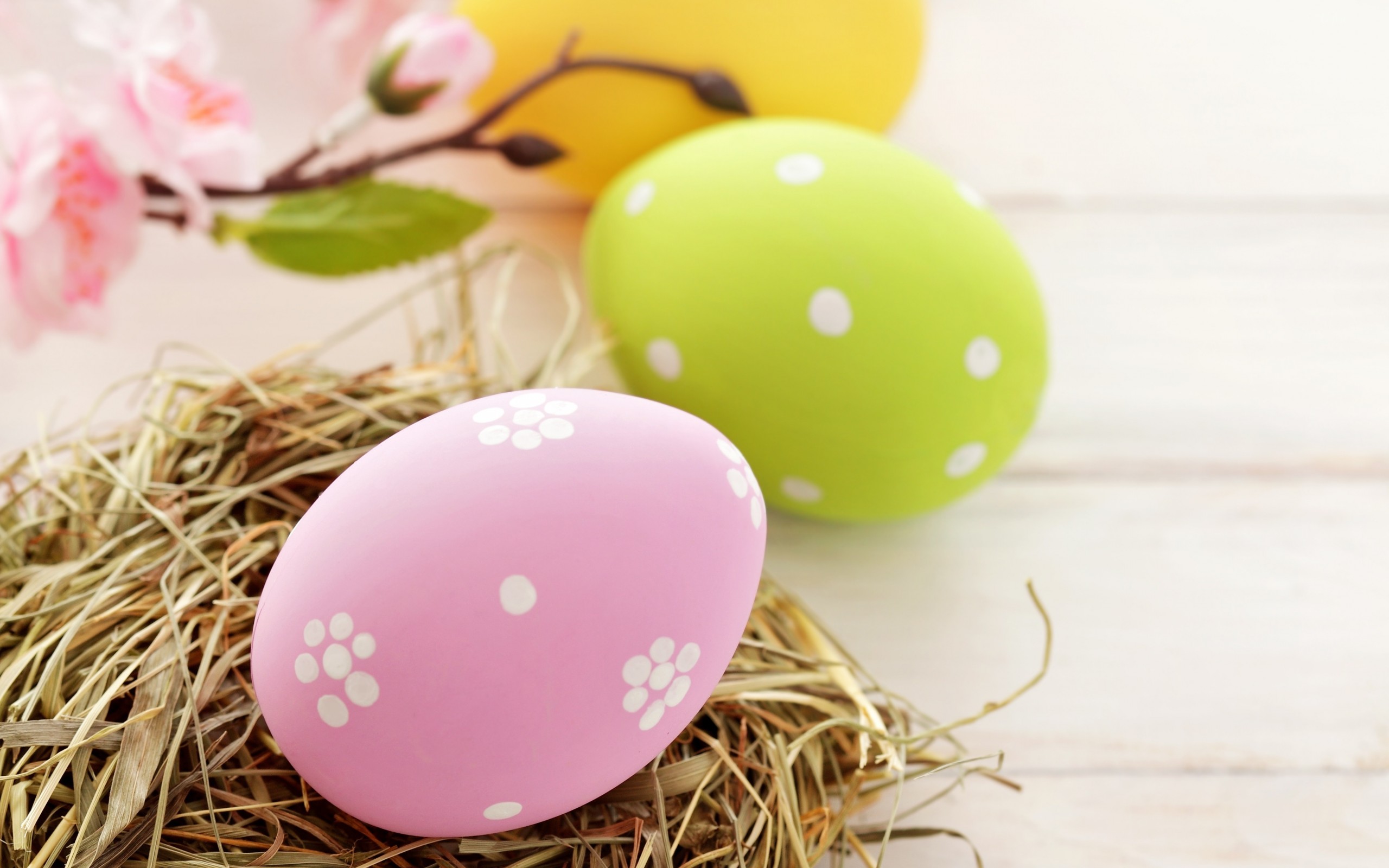 Eggs Easter Pink Yellow Green Spring Holiday Wallpaper