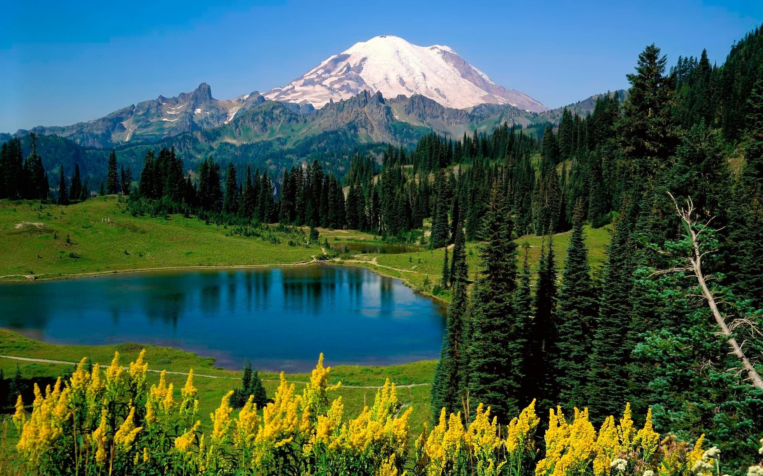 Scenic mountain lake with wildflowers in foreground