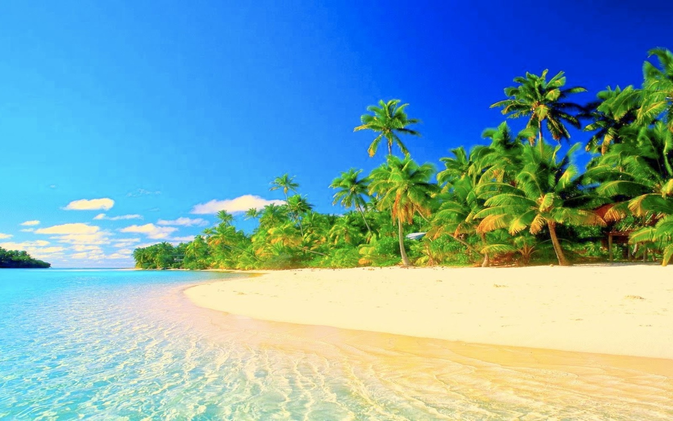 Tropical Paradise HD Beach