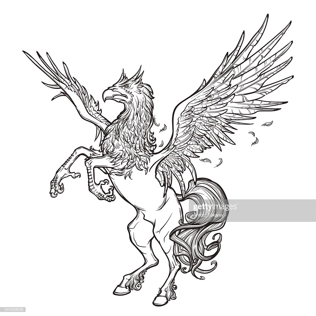 Hippogriff Or Hippogryph Supernatural Beast Sketch On A White