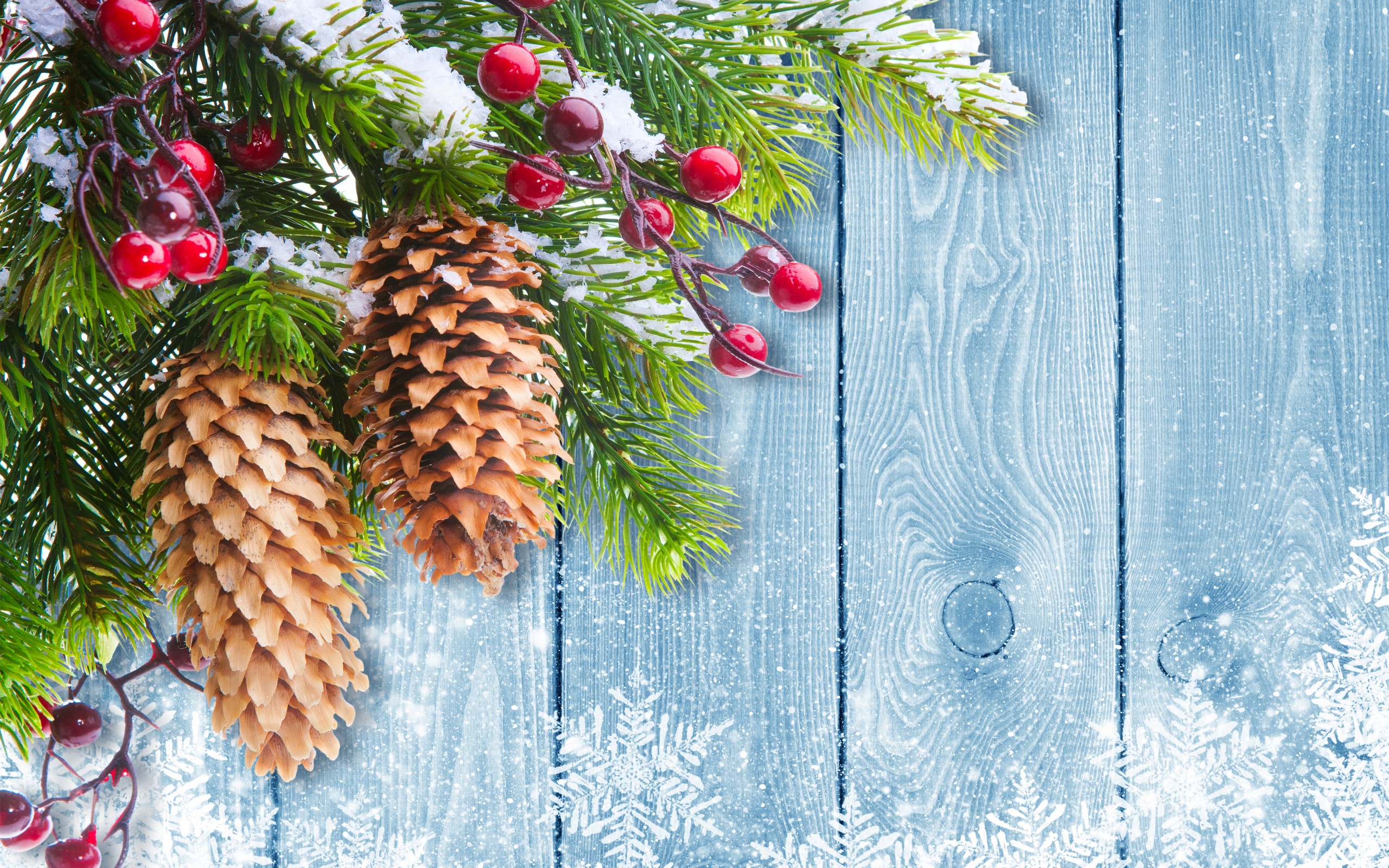 Christmas Tree Branch Mistletoe Desktop Wallpaper
