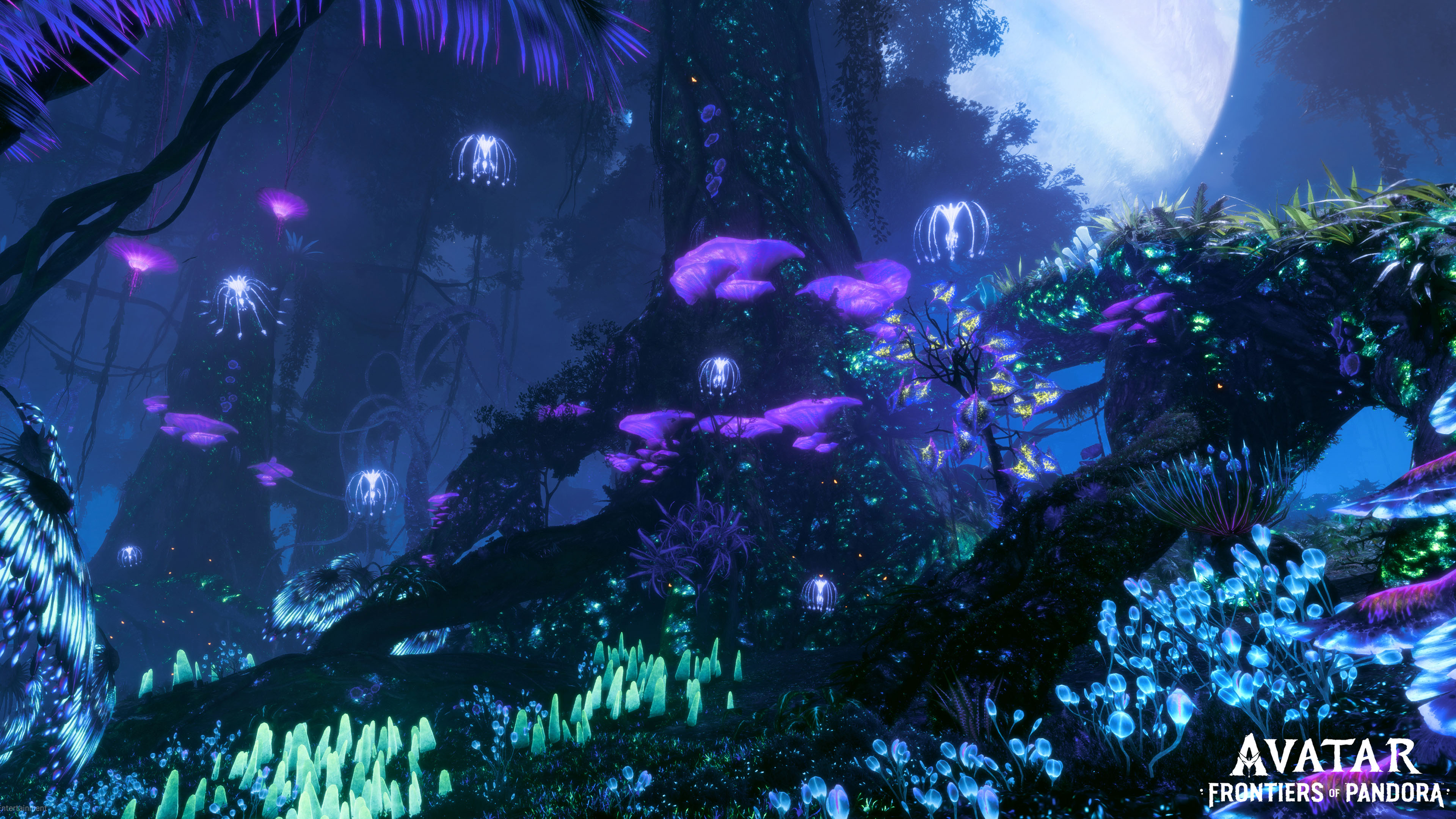 Avatar Frontiers Of Pandora 4k HD Wallpaper