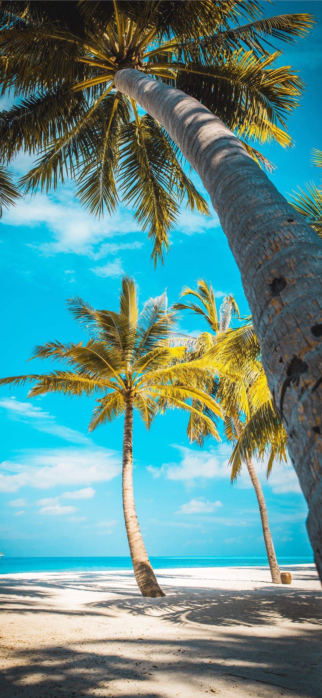 Beach iPhone Wallpaper Aesthetic