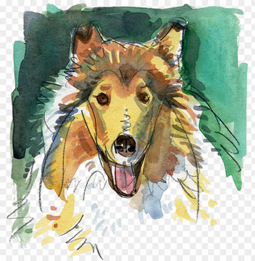 Whimsy Art Sketch Paint Painting Watercolor