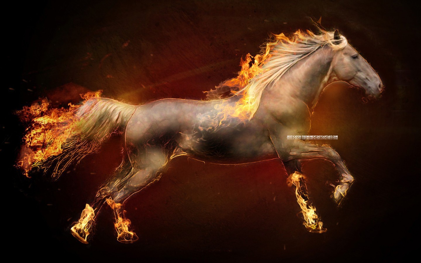 Fire Horses Ponyta Creative Wallpaper Allwallpaper In