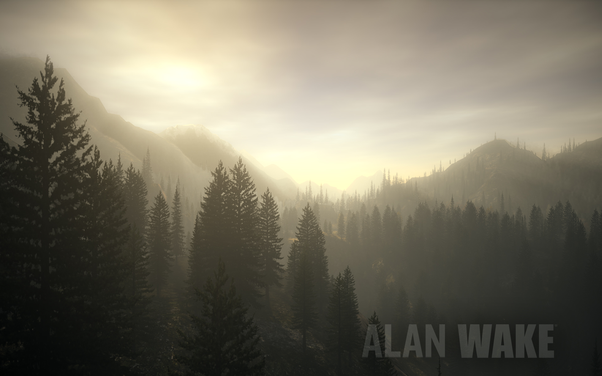 Alan Wake Video Game Wallpaper HD