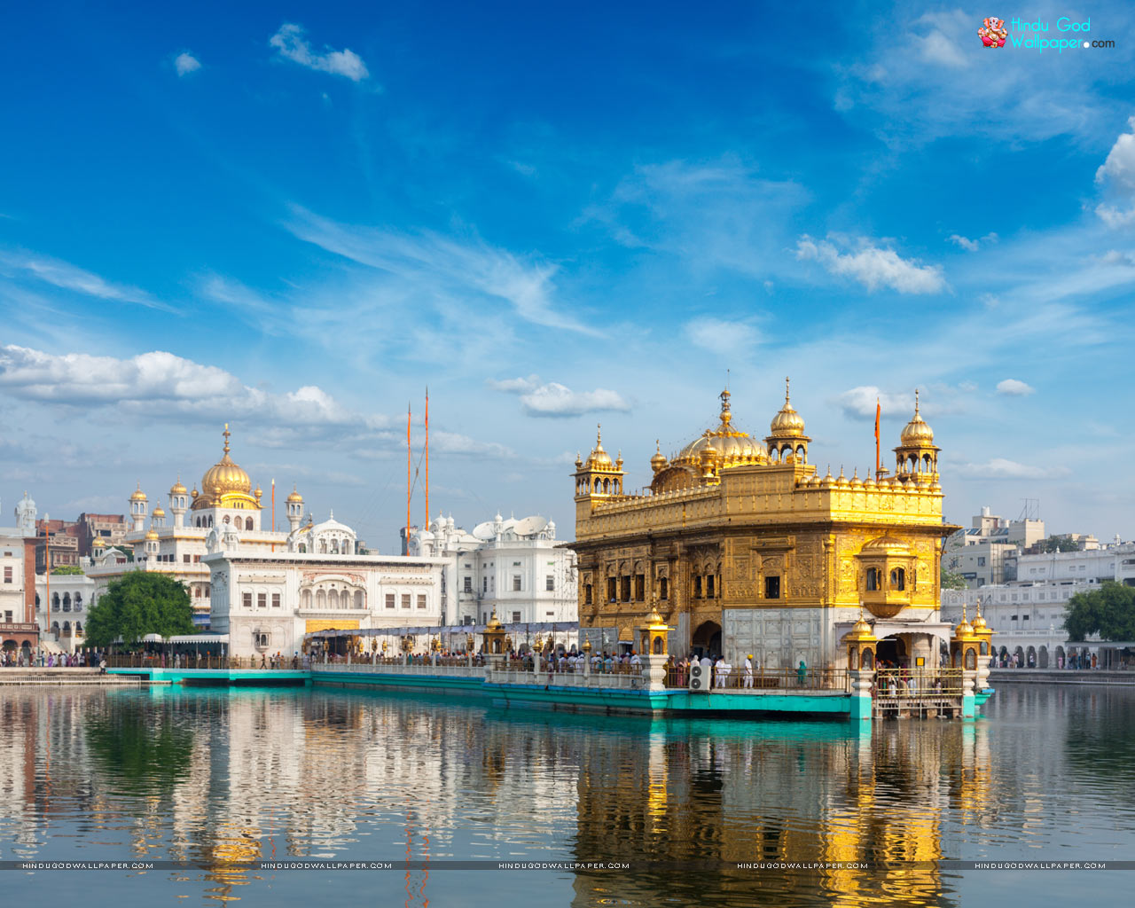 Golden Temple Night HD Wallpaper Free Download