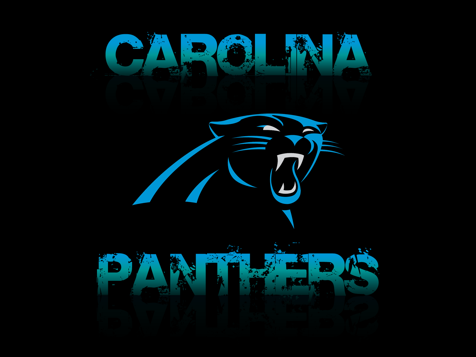 Carolina Panthers Dark Wallpaper for Phones and Tablets 1600x1200