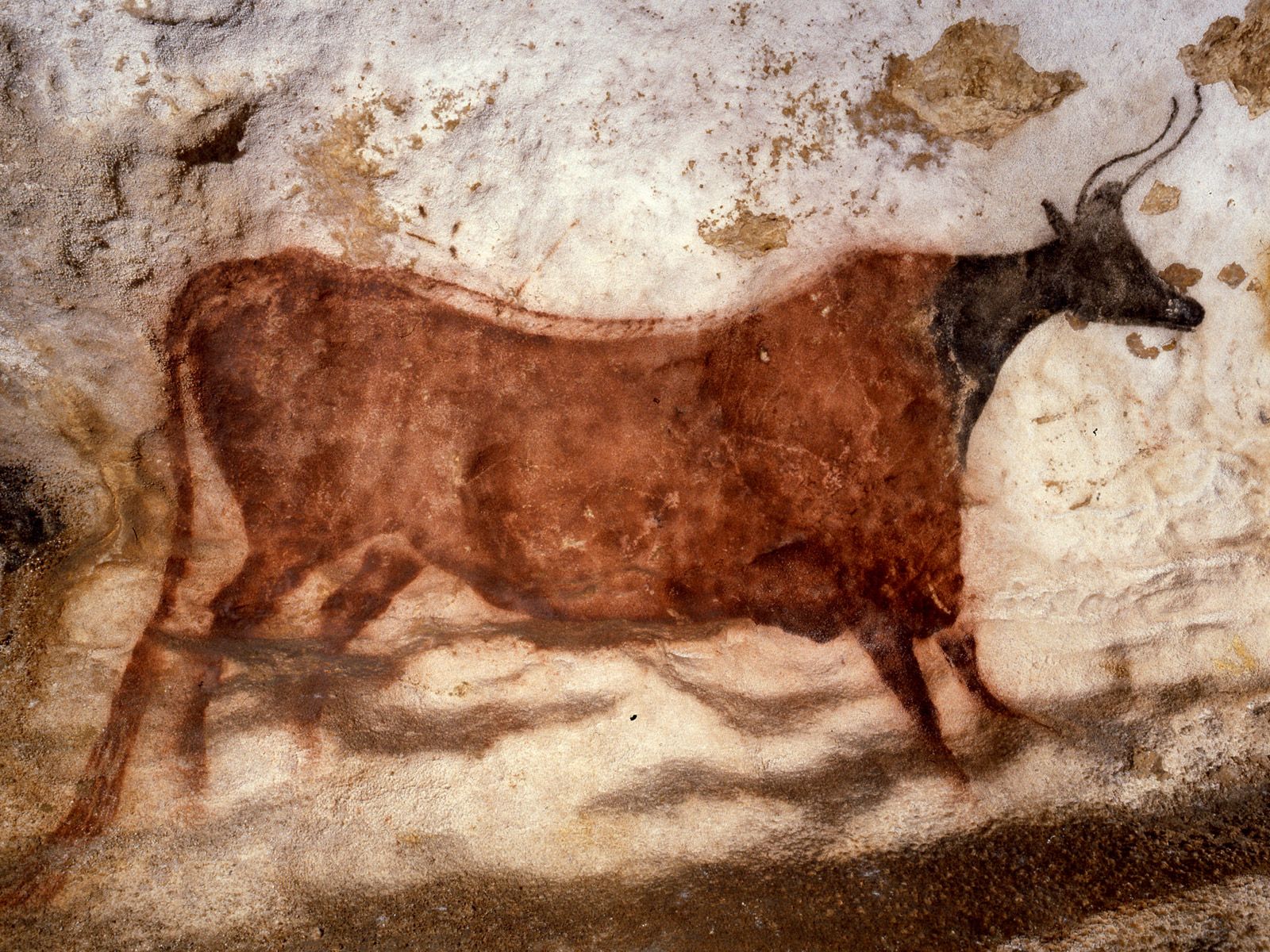 Lascaux Cave Bce Paintings Paleolithic