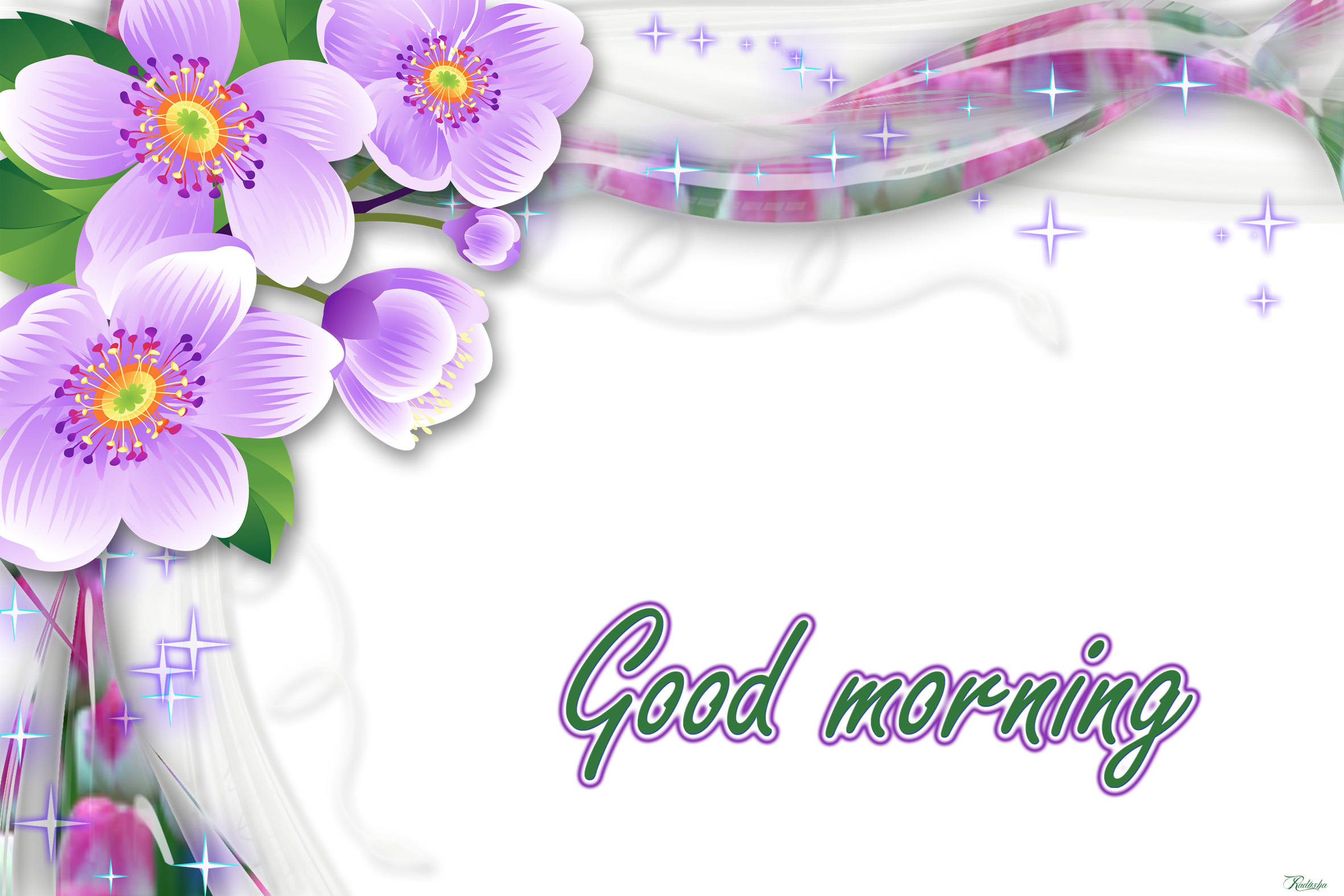 good-morning-wallpaper-with-flowers-full-hd-1920x1080-gm-images