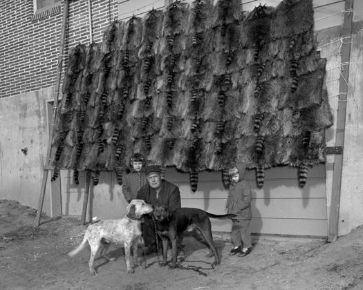 Coon Hunting History Image Search Results