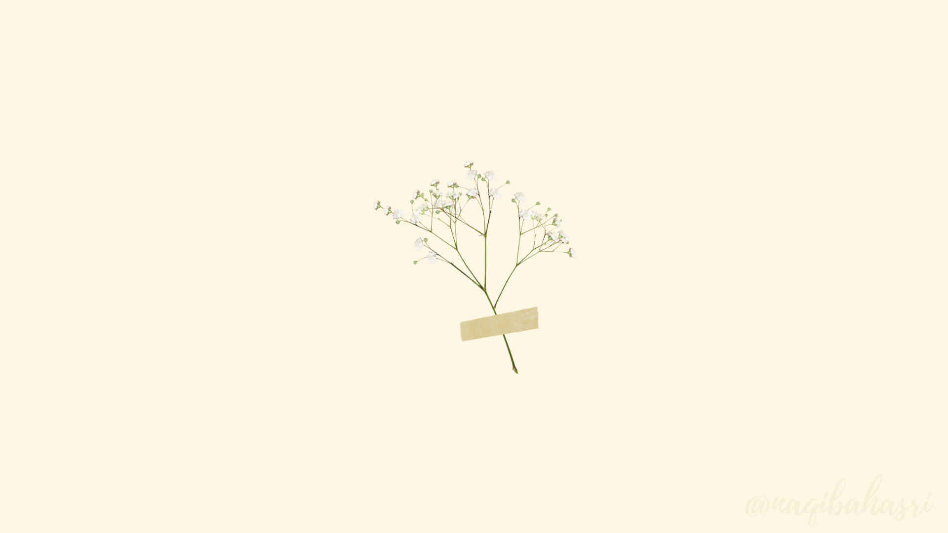 Graceful Simplicity Wallpaper