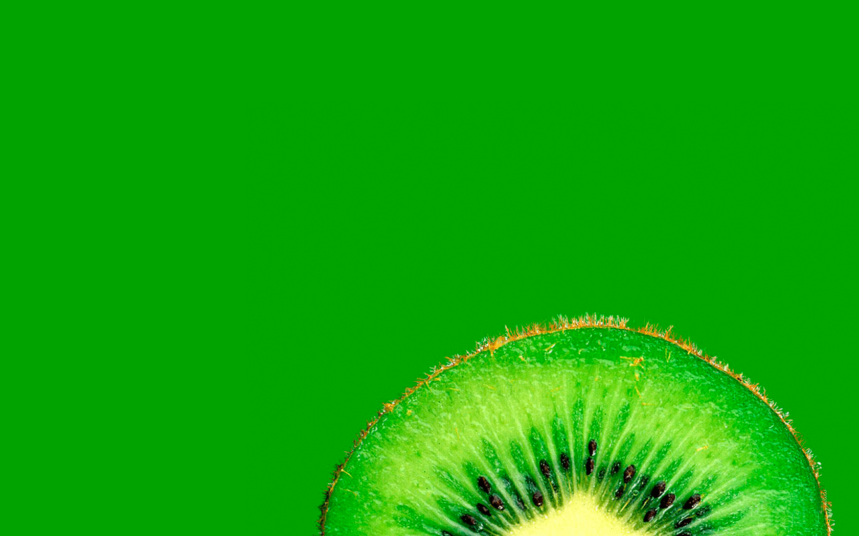 Kiwi HD Desktop Wallpaper 7wallpaper Net