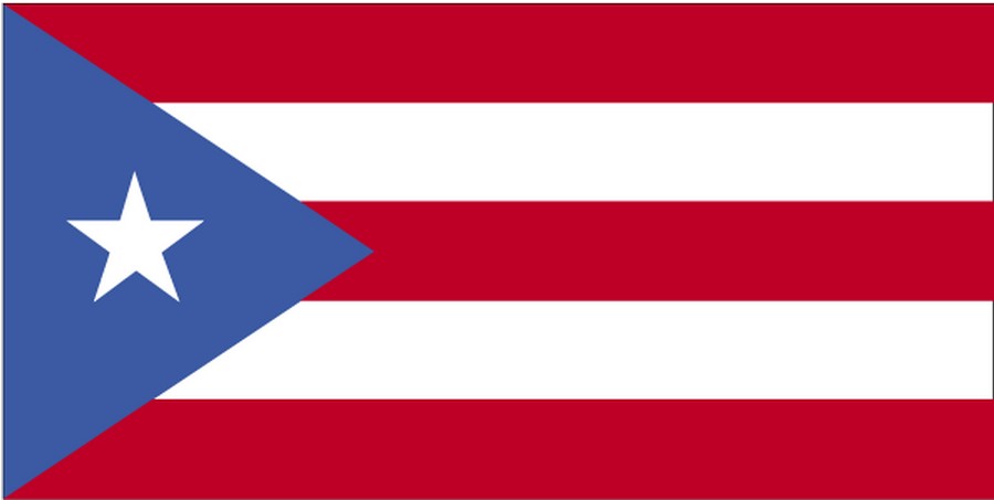 Puerto Rico Flag Picture Photo Pic
