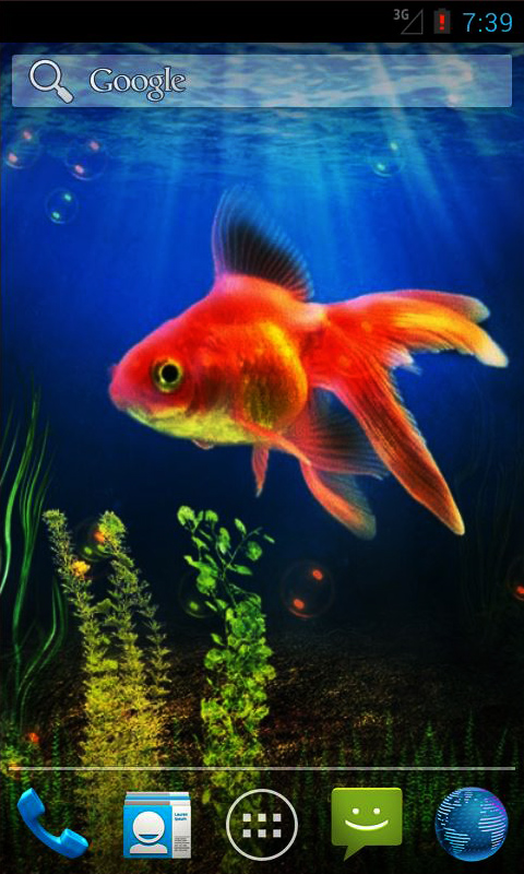 Home Press Menu Wallpaper Live Goldfish