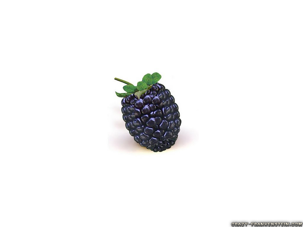 Blackberry Fruit Movdata