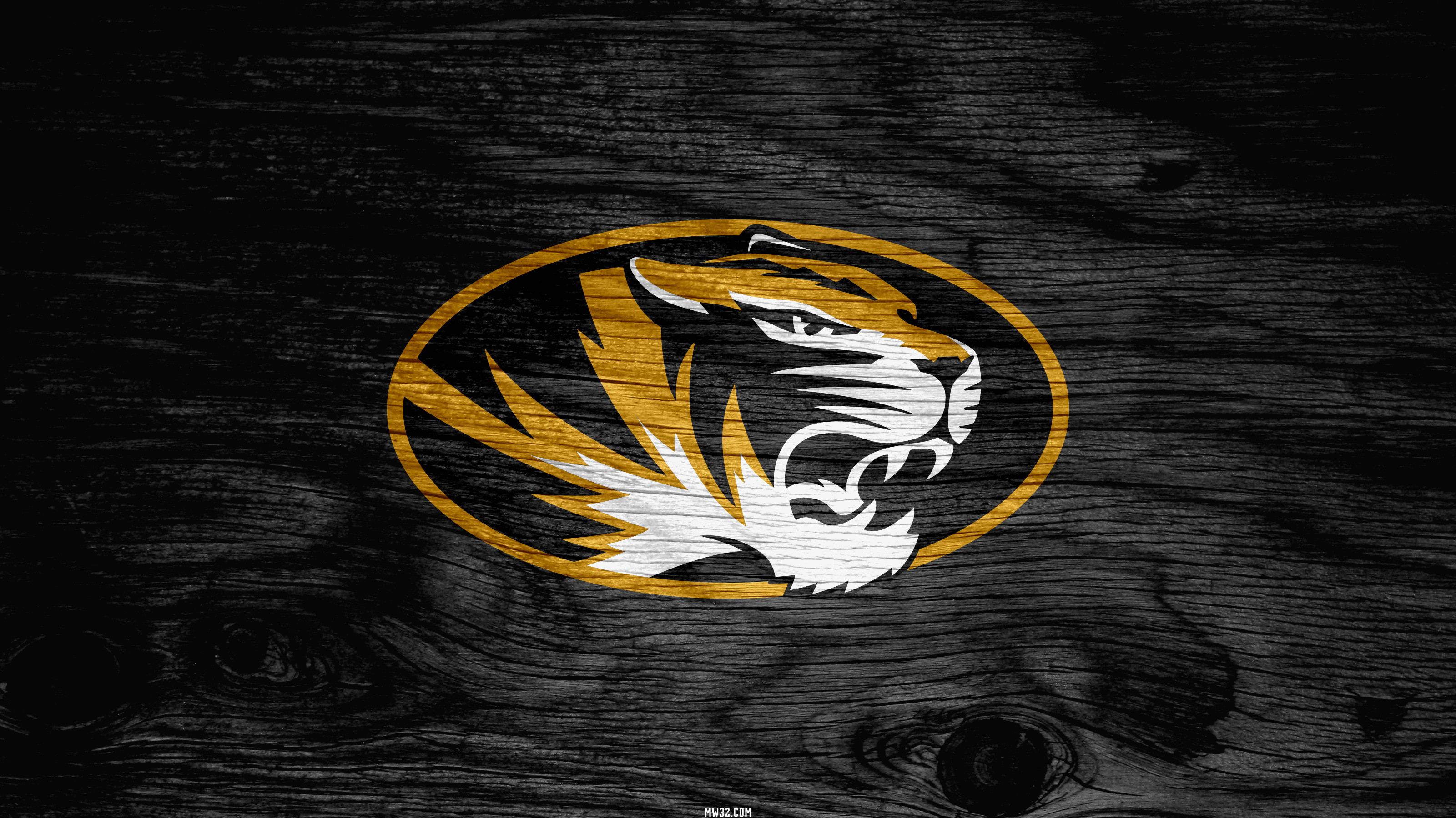 Missouri Tigers Picture