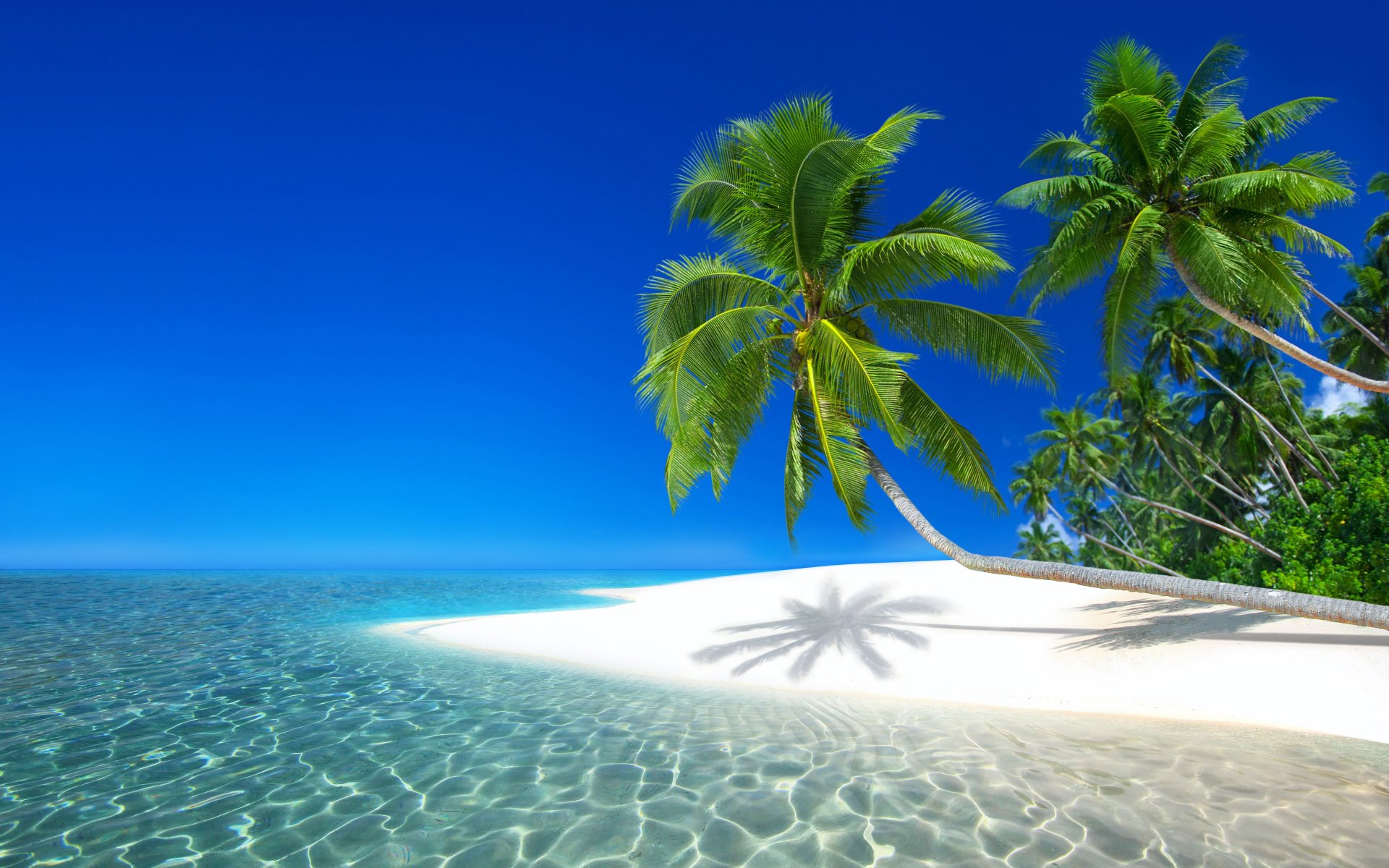 Tropical island paradise with crystal-clear turquoise water, white sandy beach, and lush palm trees under a vibrant blue sky
