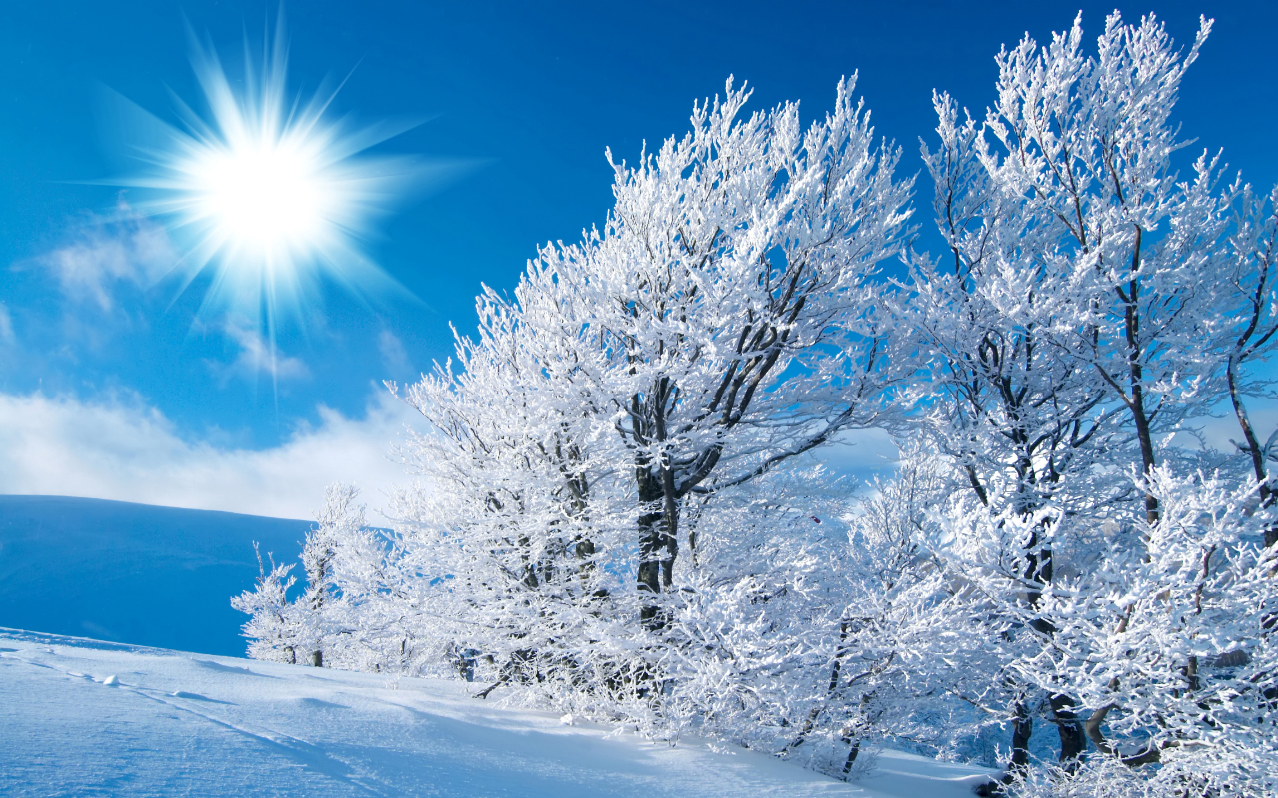 Winter Sun Wallpaper High Definition Quality Widescreen
