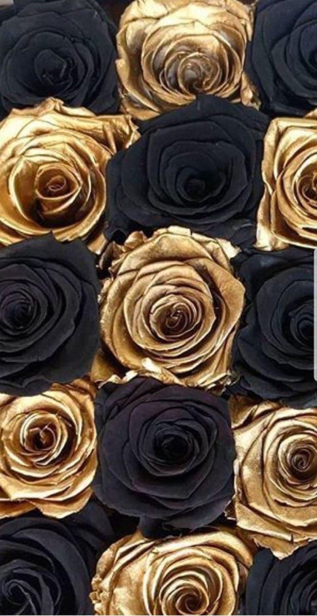 Black And Gold Rose Wallpaper