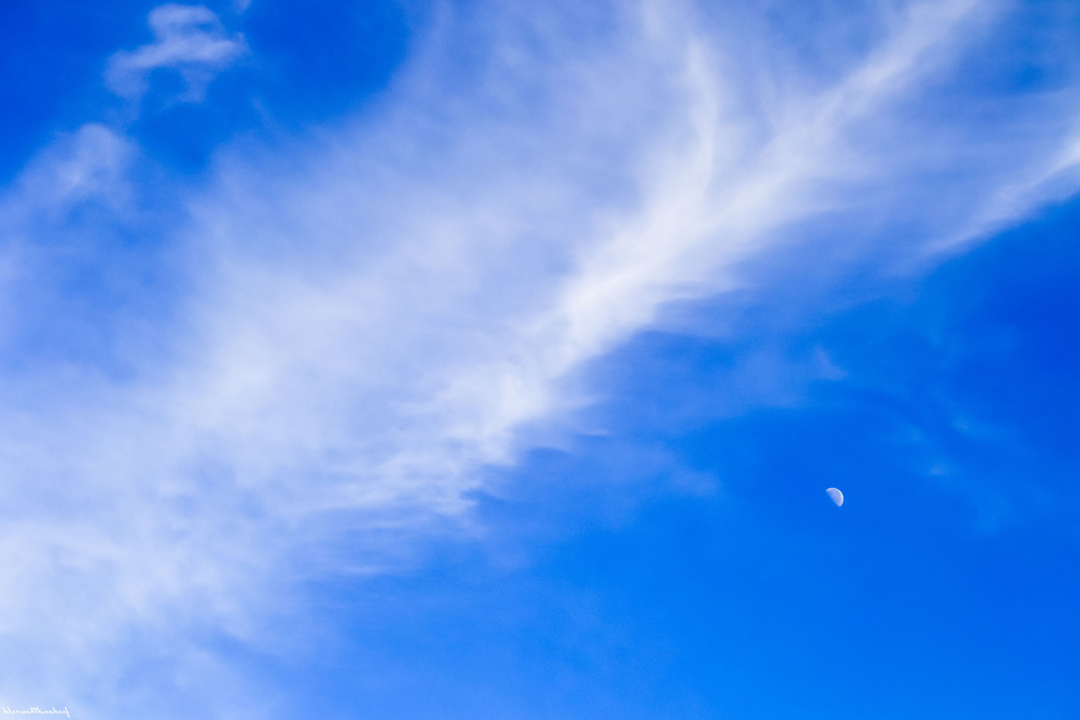 Index Of Image Background