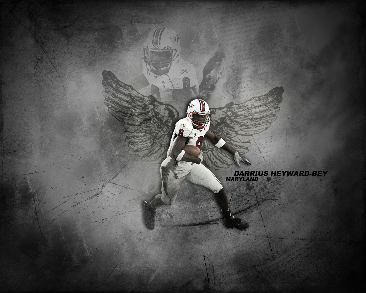 Oakland Raiders Wallpaper HD Image
