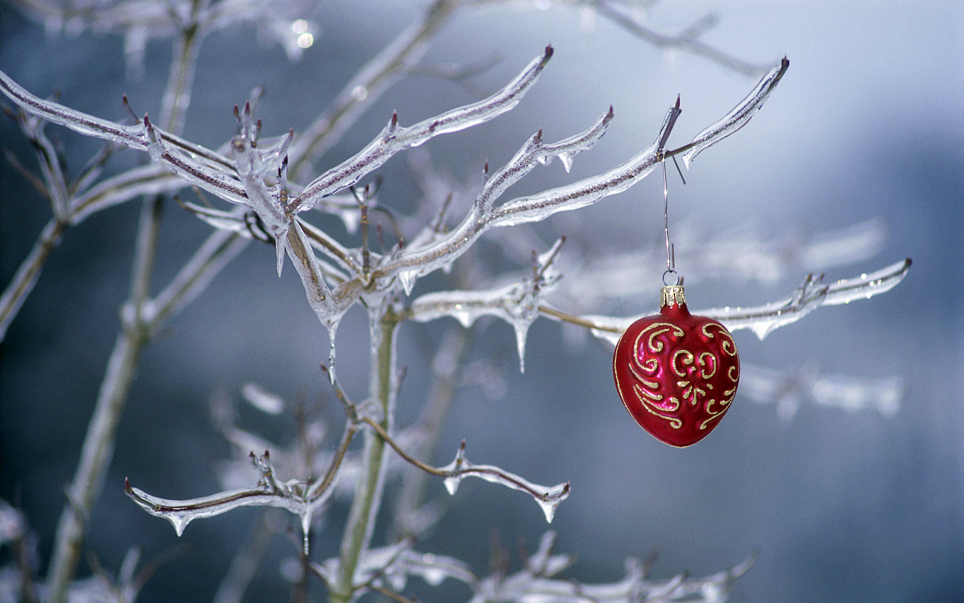 Ornament Hanging On A Frozen Tree HD Wallpaper
