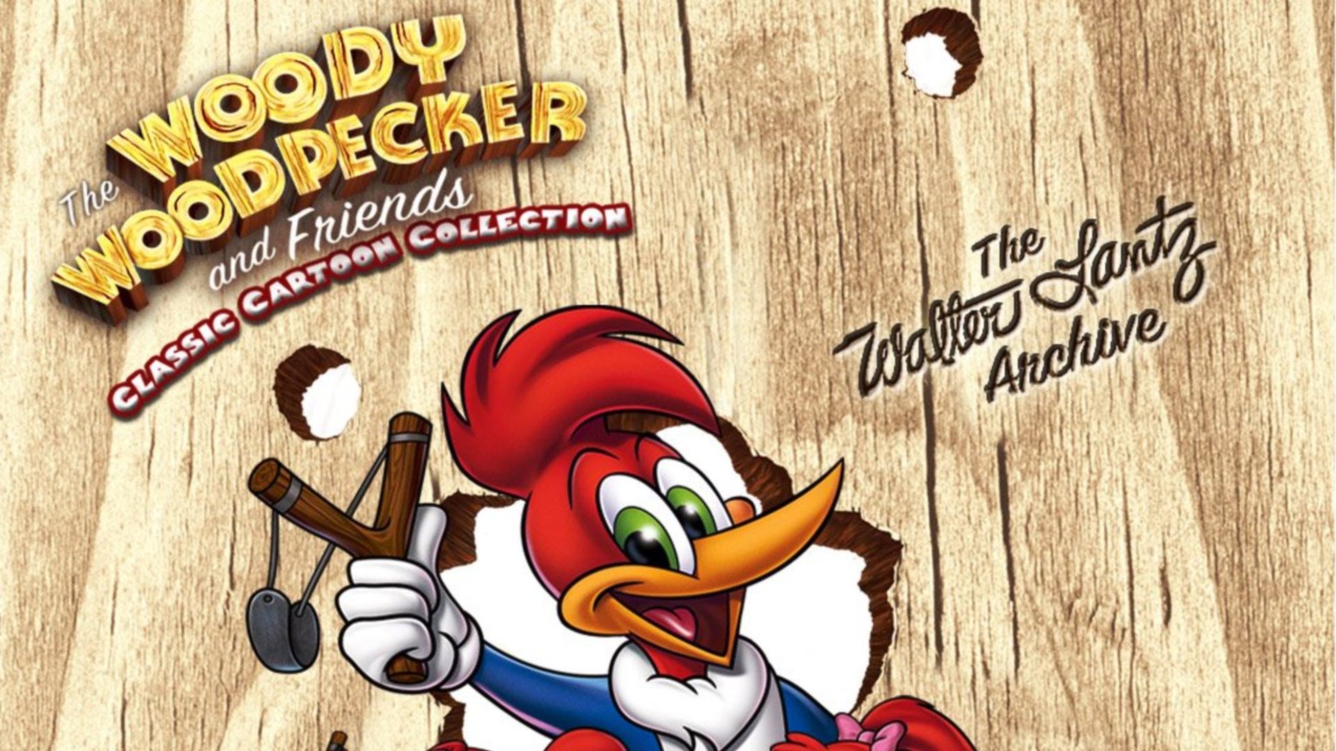 Woody Woodpecker HD Wallpaper